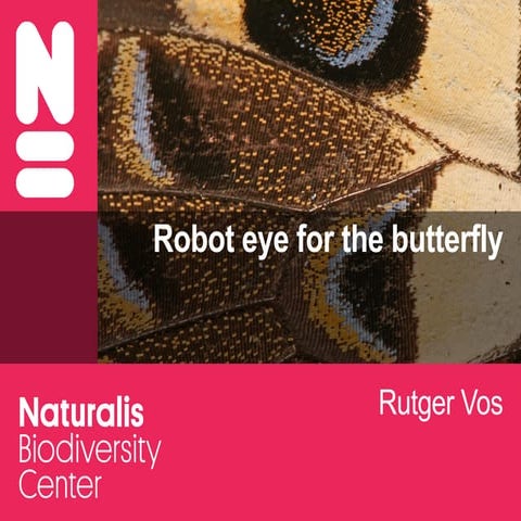 Robot eye for the butterfly