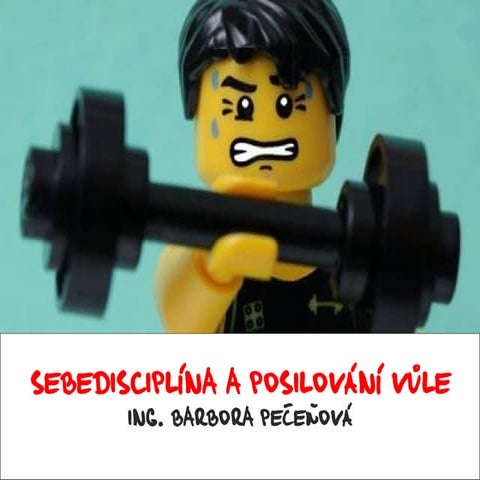 Workshop Sebedisciplína