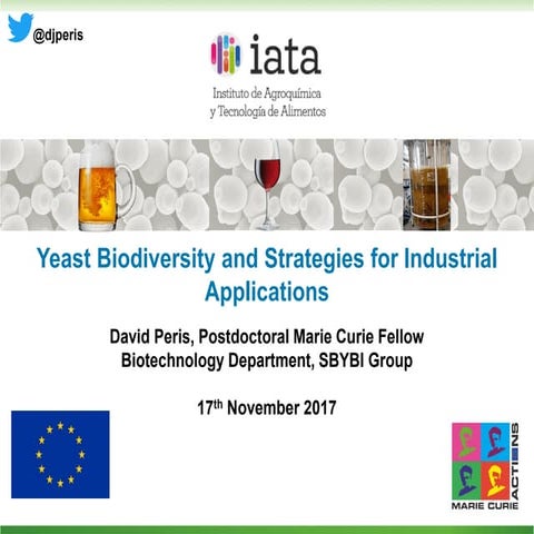 Yeast Biodiversity and Strategies for Industrial Applications