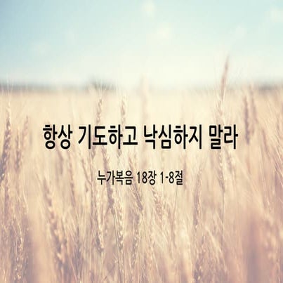 2017 11-26, 눅18장01-08절, 항상 기도하고 낙심하지 말라 - 말씀강해