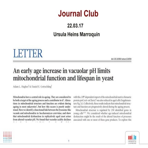 Pizza club - March 2017 - Ursula