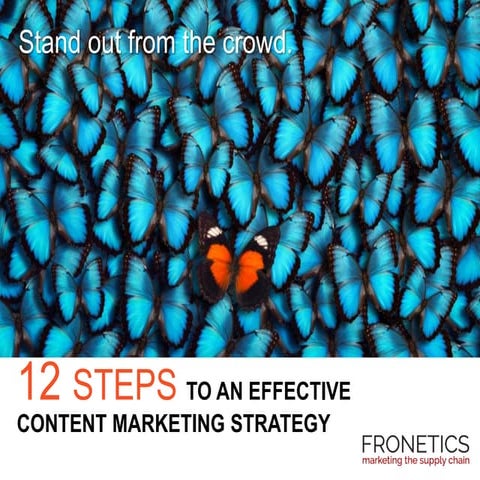 12 Steps to an Effective Content Marketing Strategy