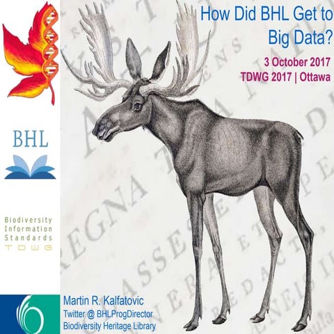 How Did BHL Get to Big Data?