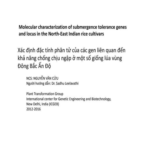 2017.  TS Nguyễn Văn Cửu. Xác định đặc tính gen chống chịu ngập ở lúa vùng Đô...