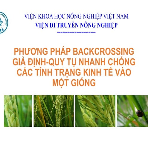 2017. Phương pháp backcrossing giả định quy tụ nhanh chống các tính trạng kin...