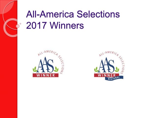 2017 AAS Winners