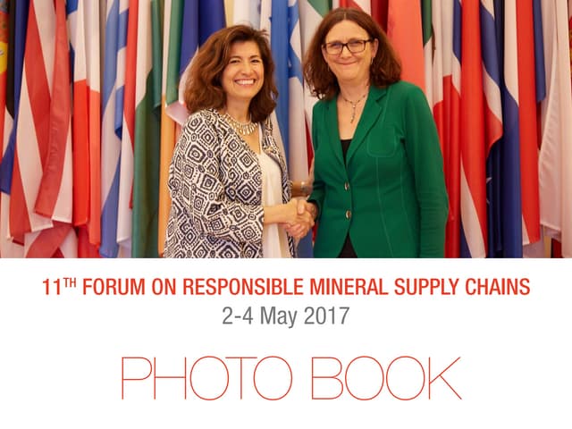 2017 OECD Minerals Forum: Photo hig...