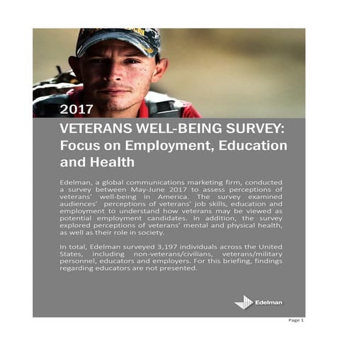 2017 Veterans Well-Being Survey