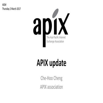 APIX Report