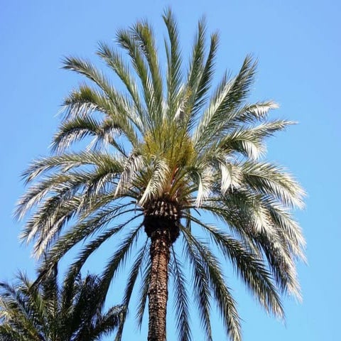 20170409, 09.30 Het kruis