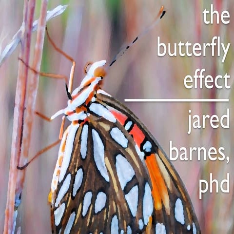 The Butterfly Effect: Micro Plants for Macro Impact