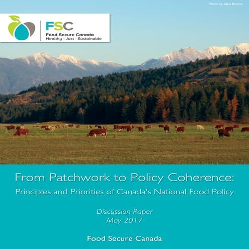 From Patchwork to Policy Coherence: Principles and Priorities of Canada's National Food Policy