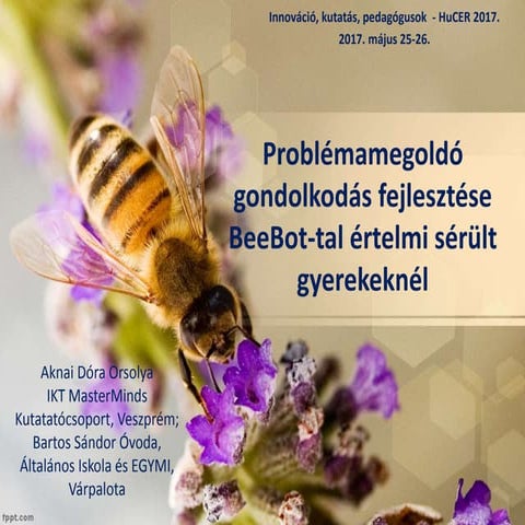 PROBLÉMAMEGOLDÓ GONDOLKODÁS FEJLESZTÉSE BEEBOT-TAL ÉRTELMI SÉRÜLT GYEREKEKNÉL