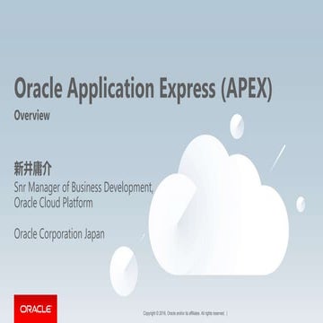 Oracle APEX 概要
