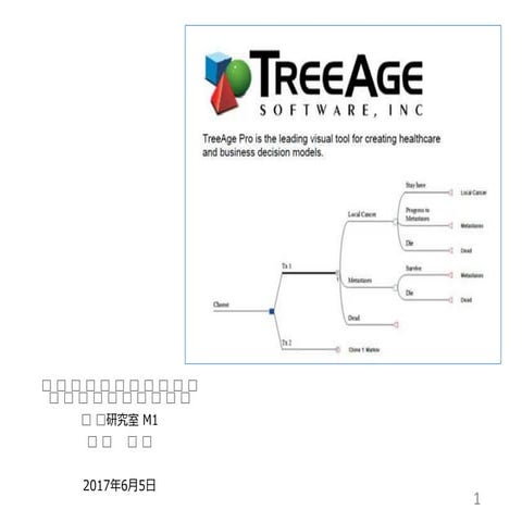 TreeAge チュートリアル