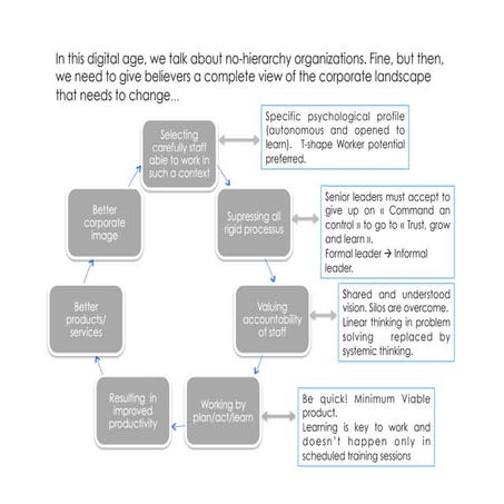 No hierarchy organizations- are fine but....
