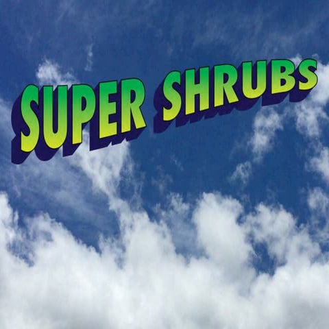 Super Shrubs for Stressful Situations