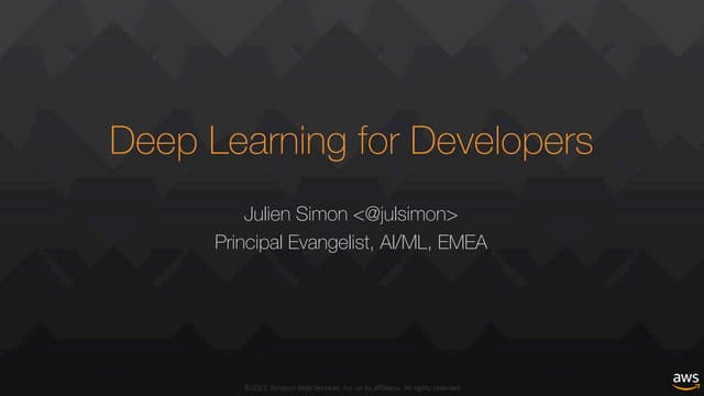 Deep Learning for Developers (October 2017)