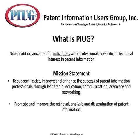 II-PIC 2017: Patent Information User Group PIUG