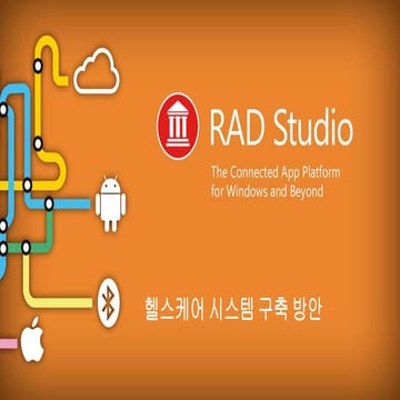 RAD스튜디오를 활용한 헬스 케어 시스템 구축방안 