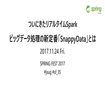 20171125 springfest snappydata
