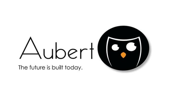 201711 Aubertm for Bisnode: web strategy for industrial lead generation