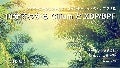 10分でわかる Cilium と XDP / BPF