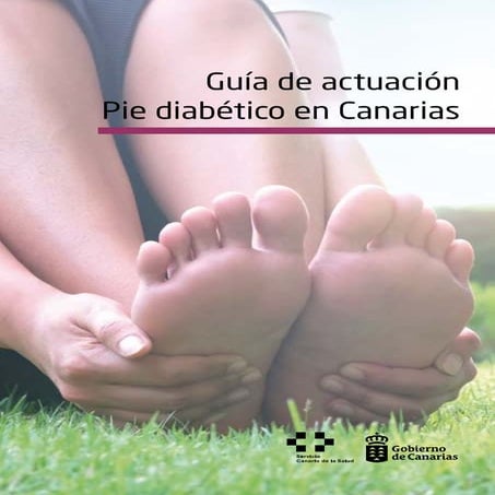 Guía de actuación Pie diabético en Canarias