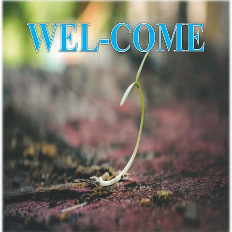 Siderophore: Secretion of Bacteria as a Chelating Agent