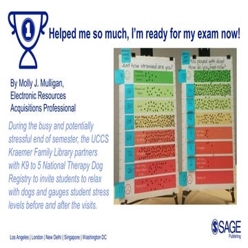 2017 Charleston Photo Contest