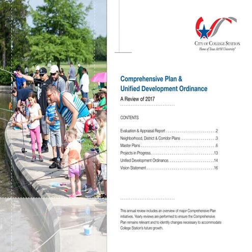 2017 Comp Plan/UDO Review