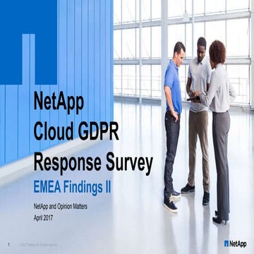 NetApp Cloud GDPR Response Survey - EMEA Findings II
