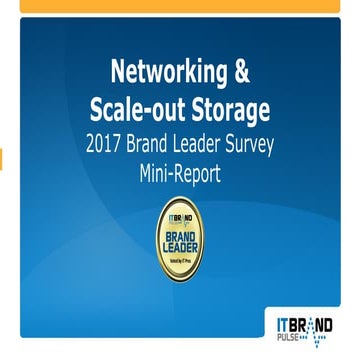2017 Networking & Scale-out Storage Brand Leader Mini-Report