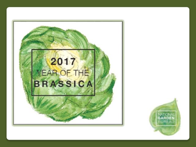 2017 National Garden Bureau's #Year...