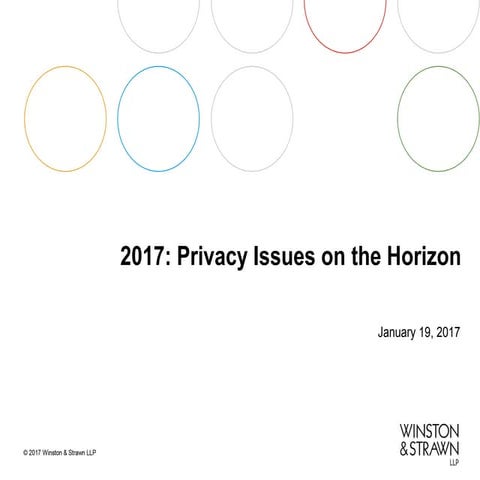 2017: Privacy Issues on the Horizon