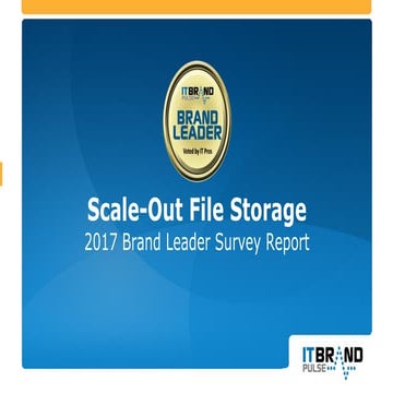 2017 Scale-Out File Storage Brand Leader Survey Report