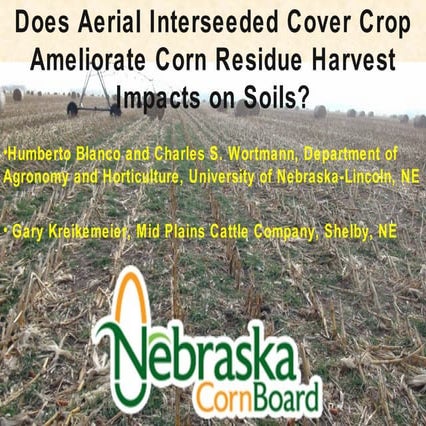 Does Aerial Interseeded Cover Crop