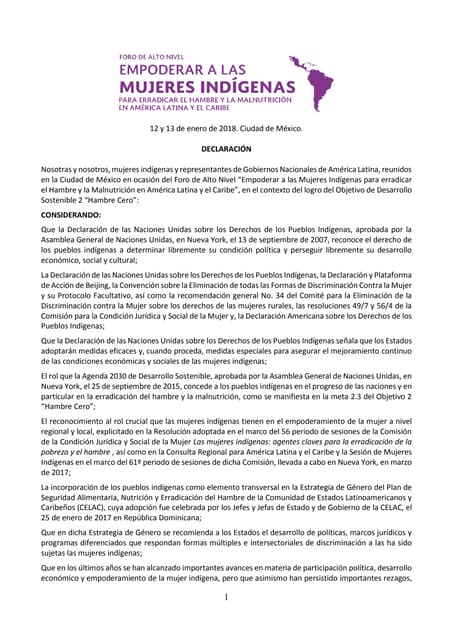 Declaración Foro alto nivel Mujeres Indígenas
