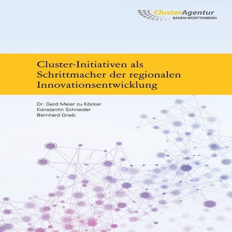 Cluster Initiativen als Schrittmacher regionaler Innovationsentwicklungen