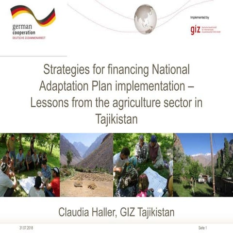 Strategies for financing National Adaptation Plan implementation – Lessons fr...