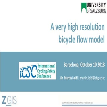 A very high resolution bicycle flow model