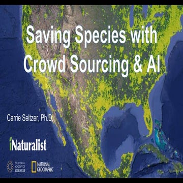 Saving Species with Crowdsourcing & AI