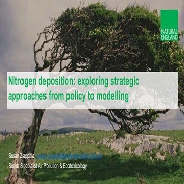 Nitrogen deposition: exploring strategic approaches from policy to modelling ...