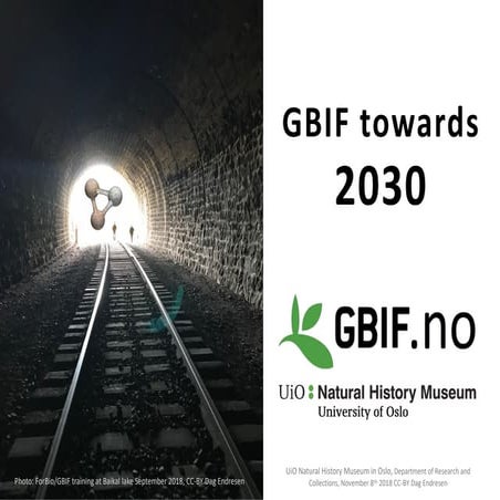 GBIF towards 2030 (November 2018)