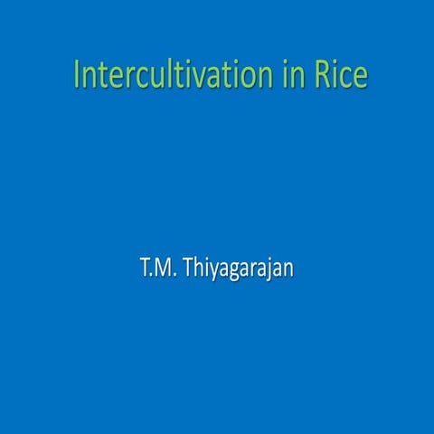 2018. tm thiyagarajan. intercultivation in rice