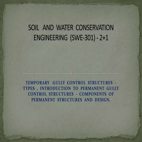 Presentation processing of food engineering