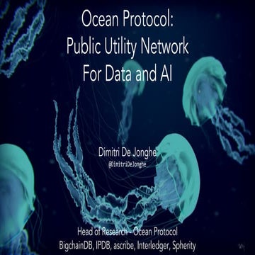 Blockchain EXE #10：Ocean ProtocolとBigchainDB: 分散型データエコシステムの実現（Dimitri De Jong...