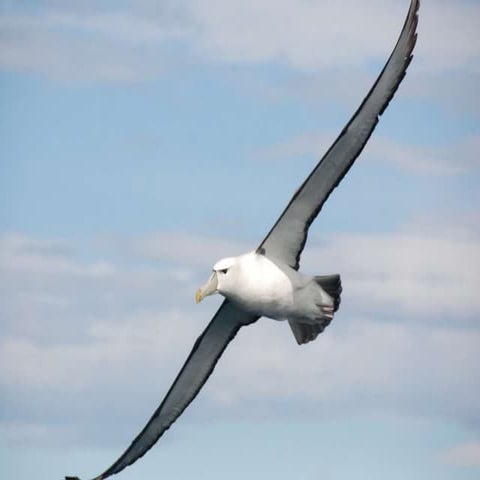 Trender, omvärldsbevakning, Karlstad 20 mars 2018