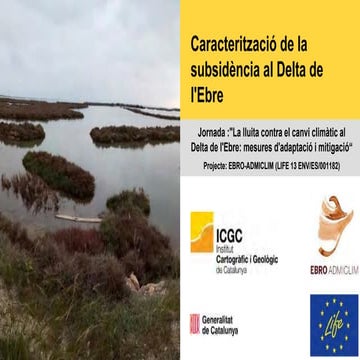 caracteritzaci-de-la-subsid-ncia-al-delta-de-l-ebre-pdf