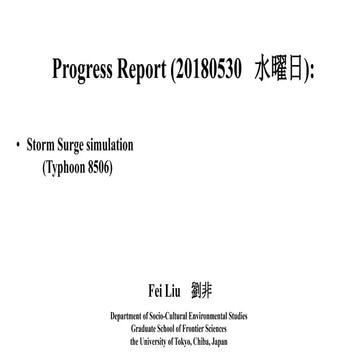 Storm surge simulation